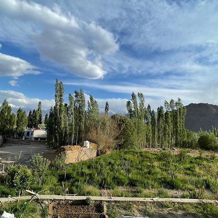 The Willow House ليه المظهر الخارجي الصورة