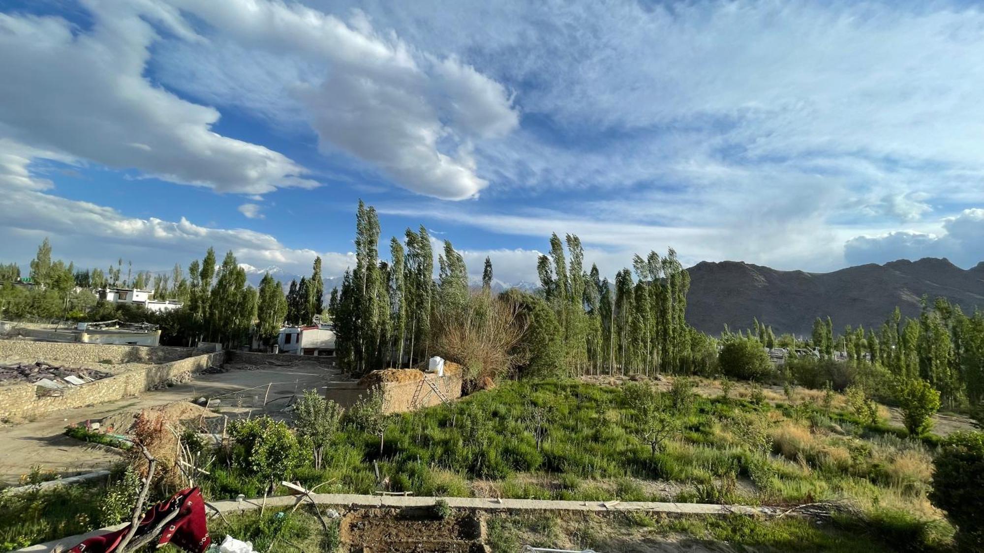 The Willow House ليه المظهر الخارجي الصورة