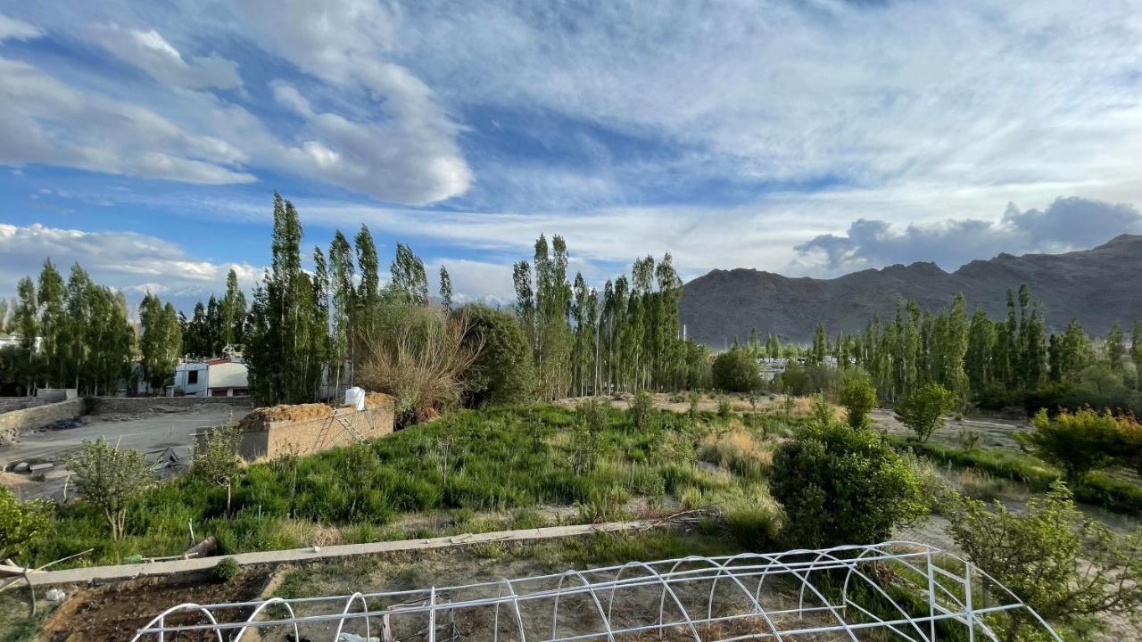 The Willow House ليه المظهر الخارجي الصورة