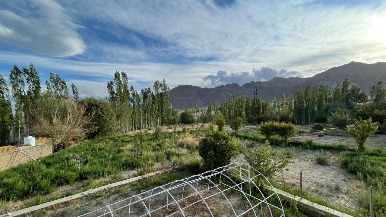 The Willow House ليه المظهر الخارجي الصورة