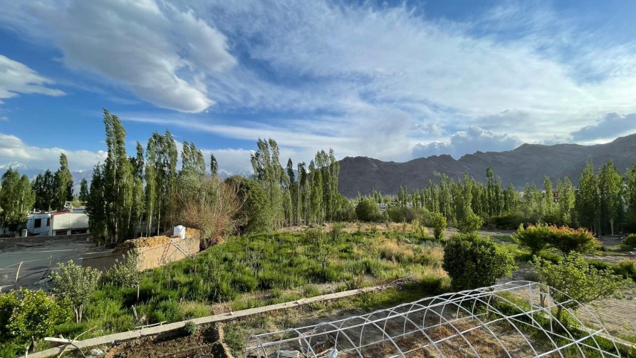 The Willow House ليه المظهر الخارجي الصورة