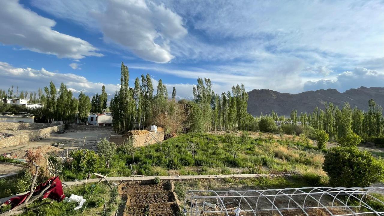 The Willow House ليه المظهر الخارجي الصورة