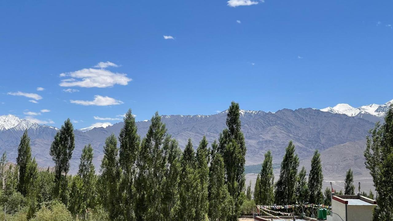 The Willow House ليه المظهر الخارجي الصورة