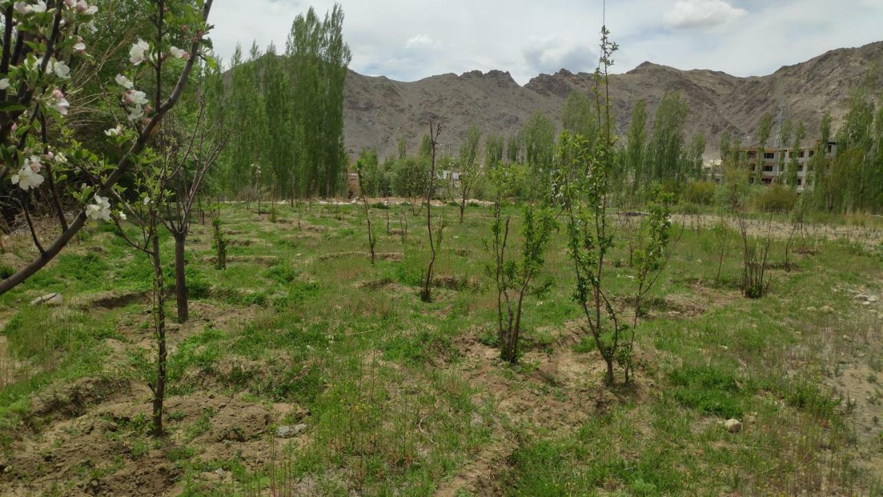 The Willow House ليه المظهر الخارجي الصورة
